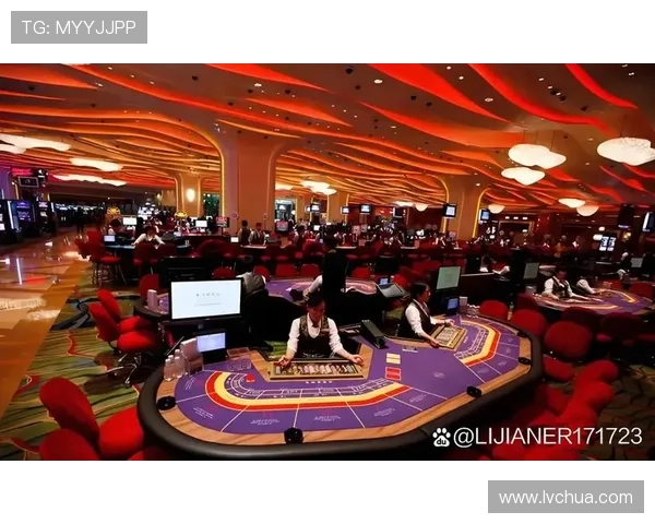 澳门新濠博亚娱乐有限公司在澳门博彩业中的市场地位与未来前景